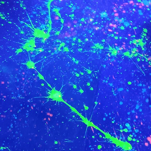 Meet your Posher, Jessica - Picture 1 of 1